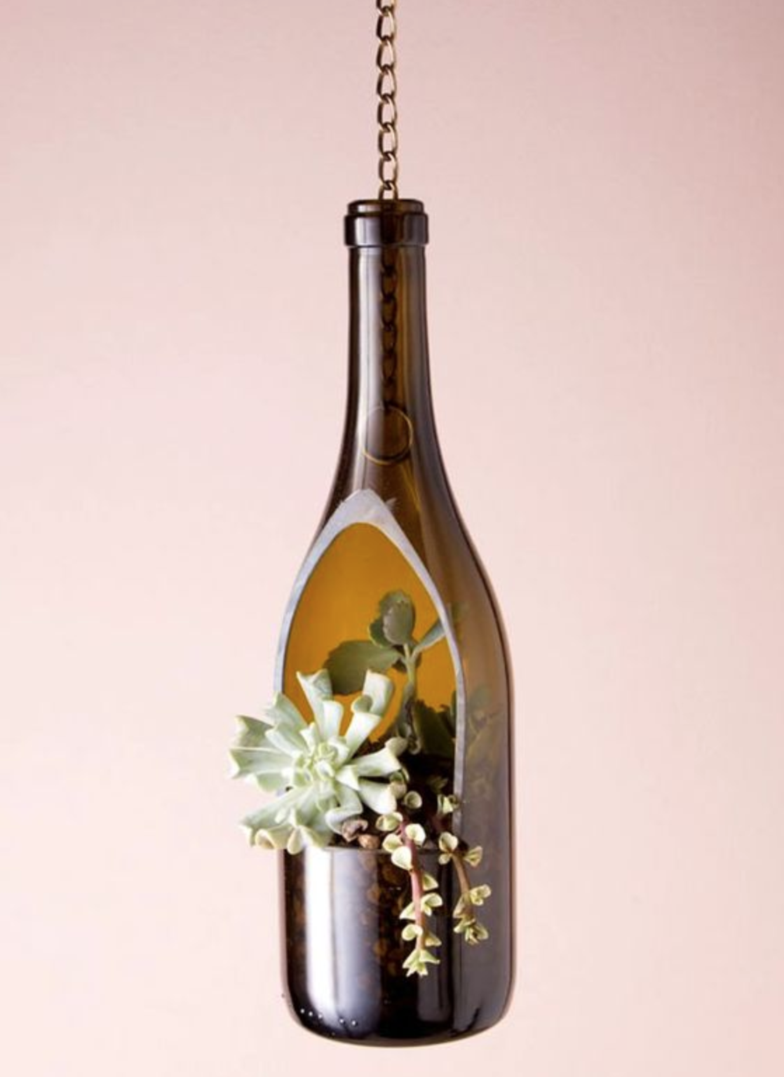 jardin colgante botella de vino reciclaje
